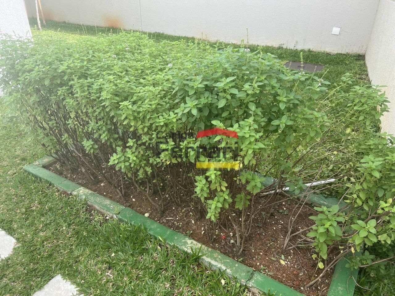 Foto 17