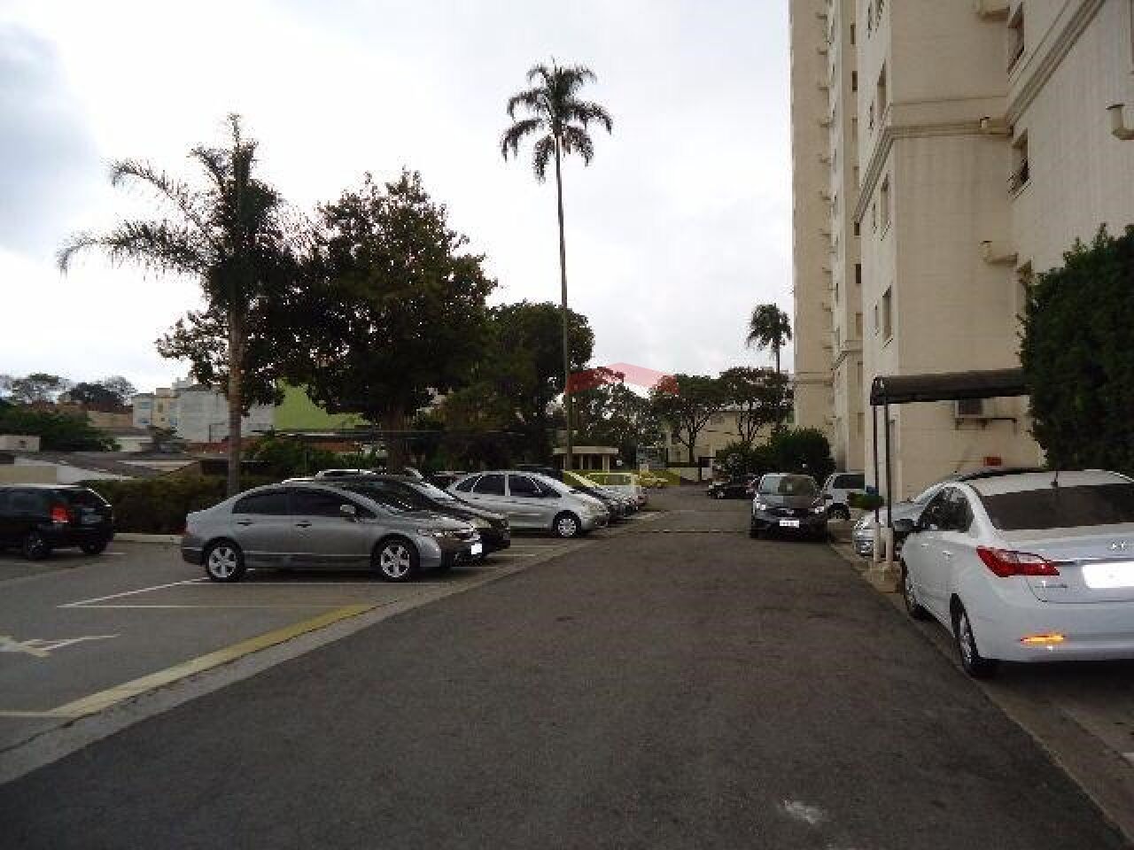 Foto 13