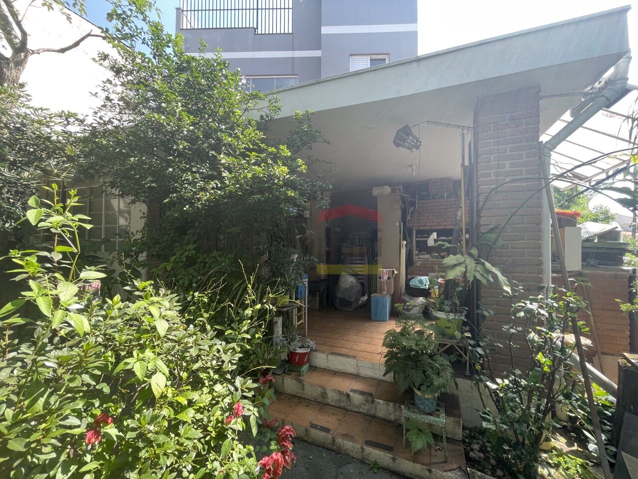 Foto 38