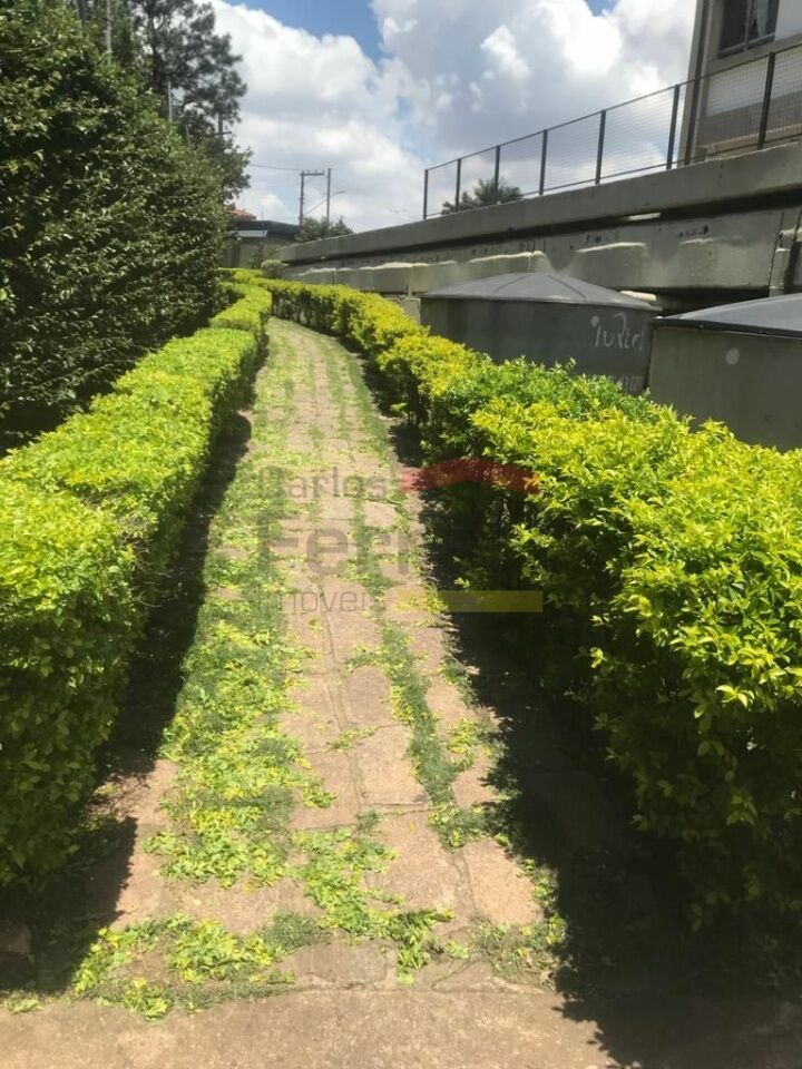 Foto 18
