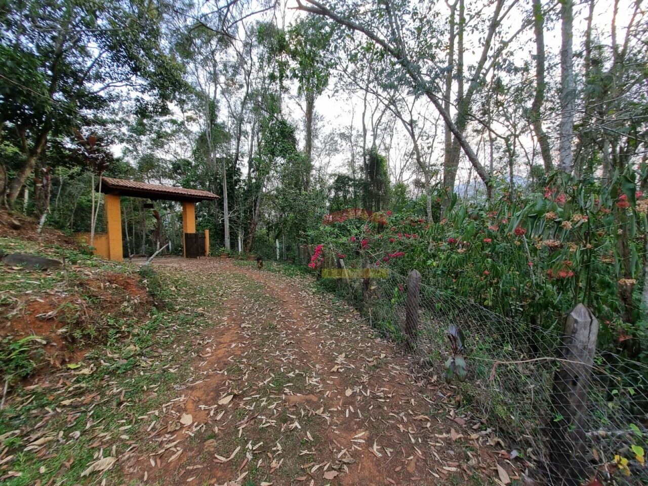 Foto 41