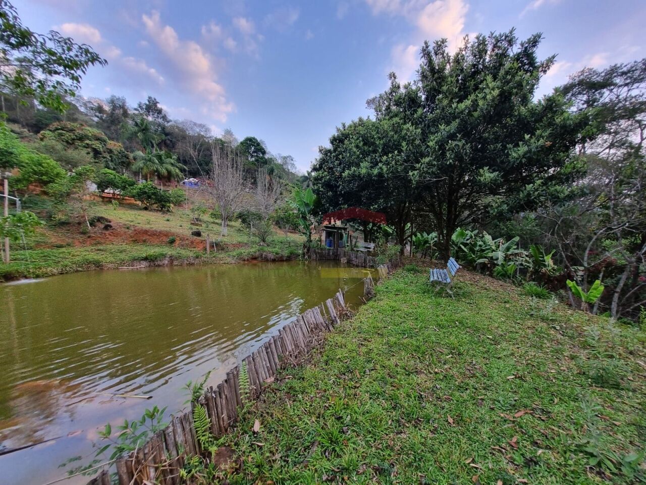 Foto 0