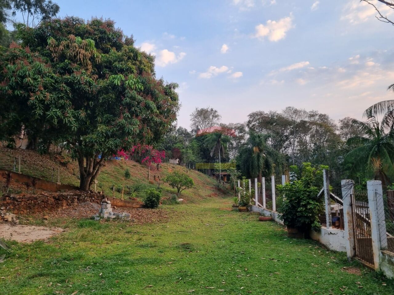 Foto 42