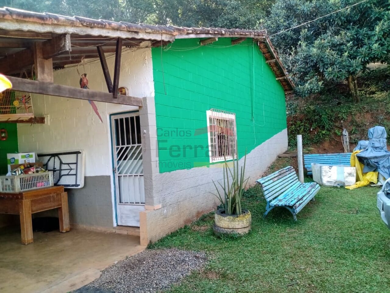 Foto 2