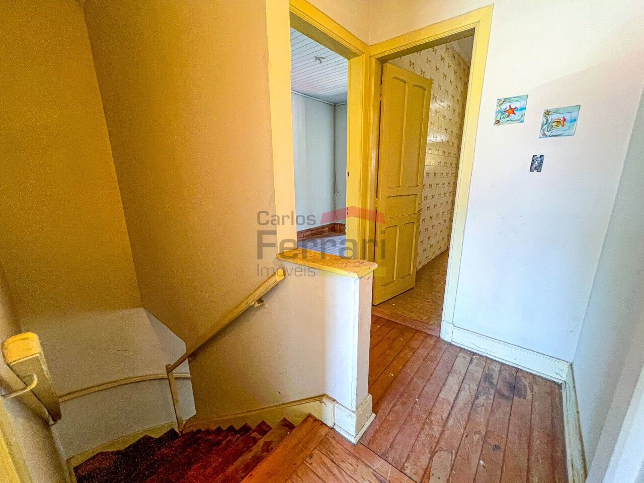 Foto 23