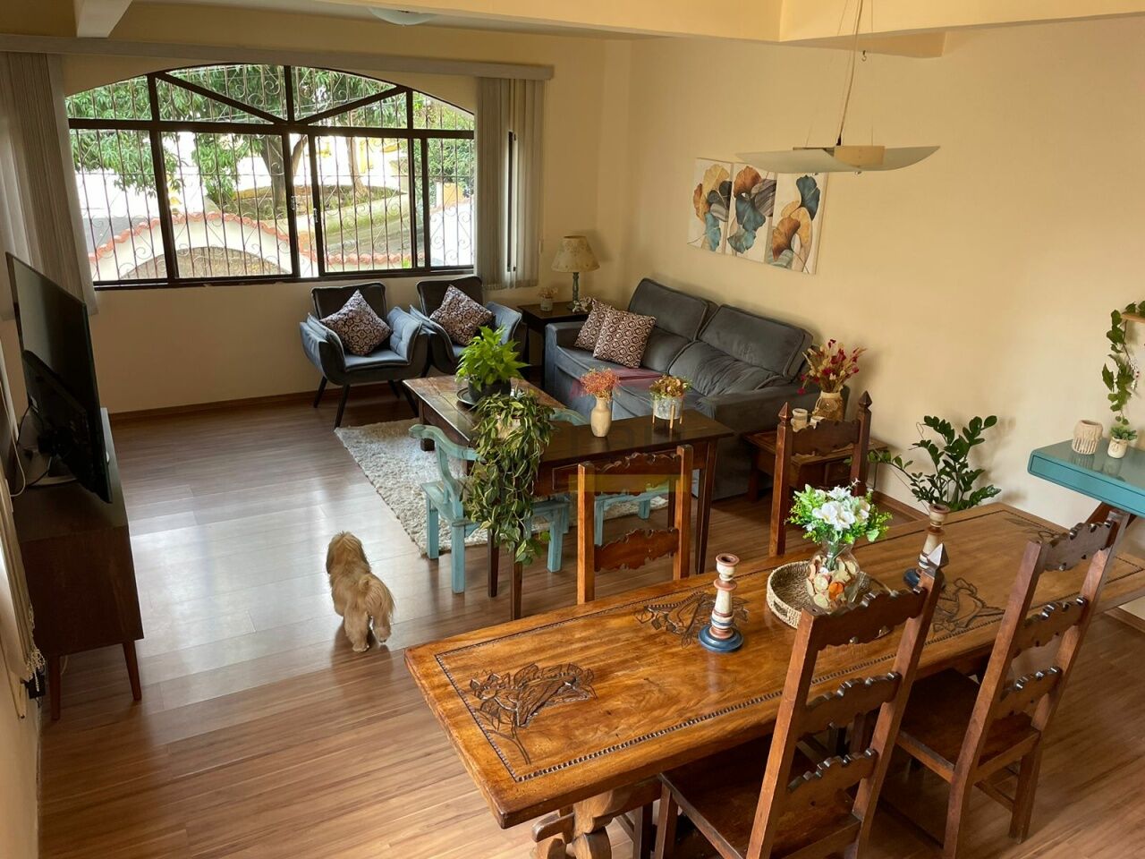 Foto 5