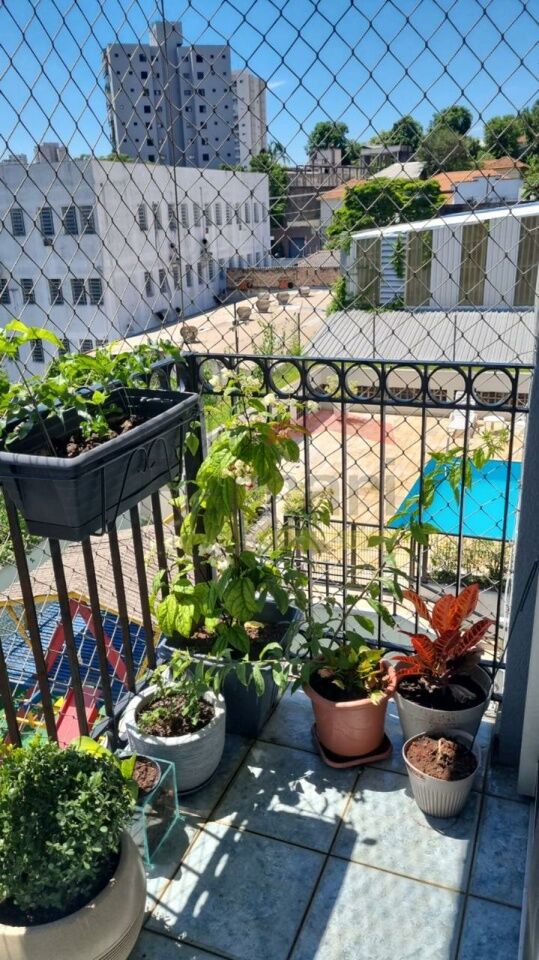 Foto 7
