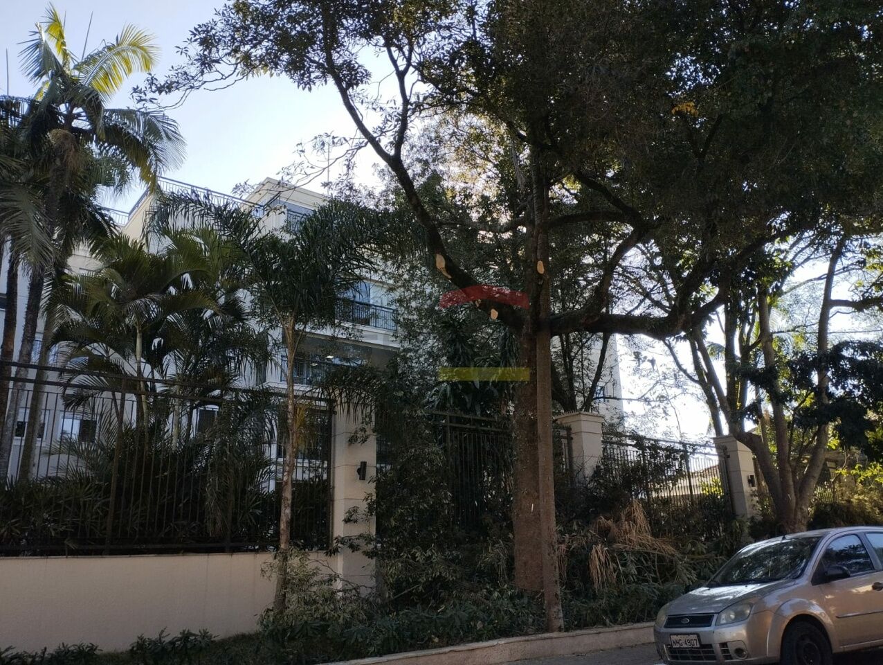 Foto 45