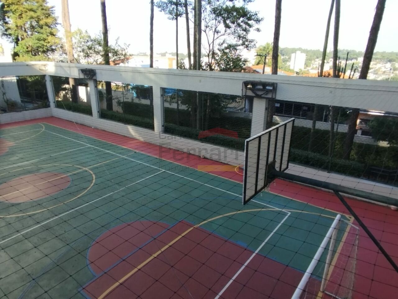 Foto 12