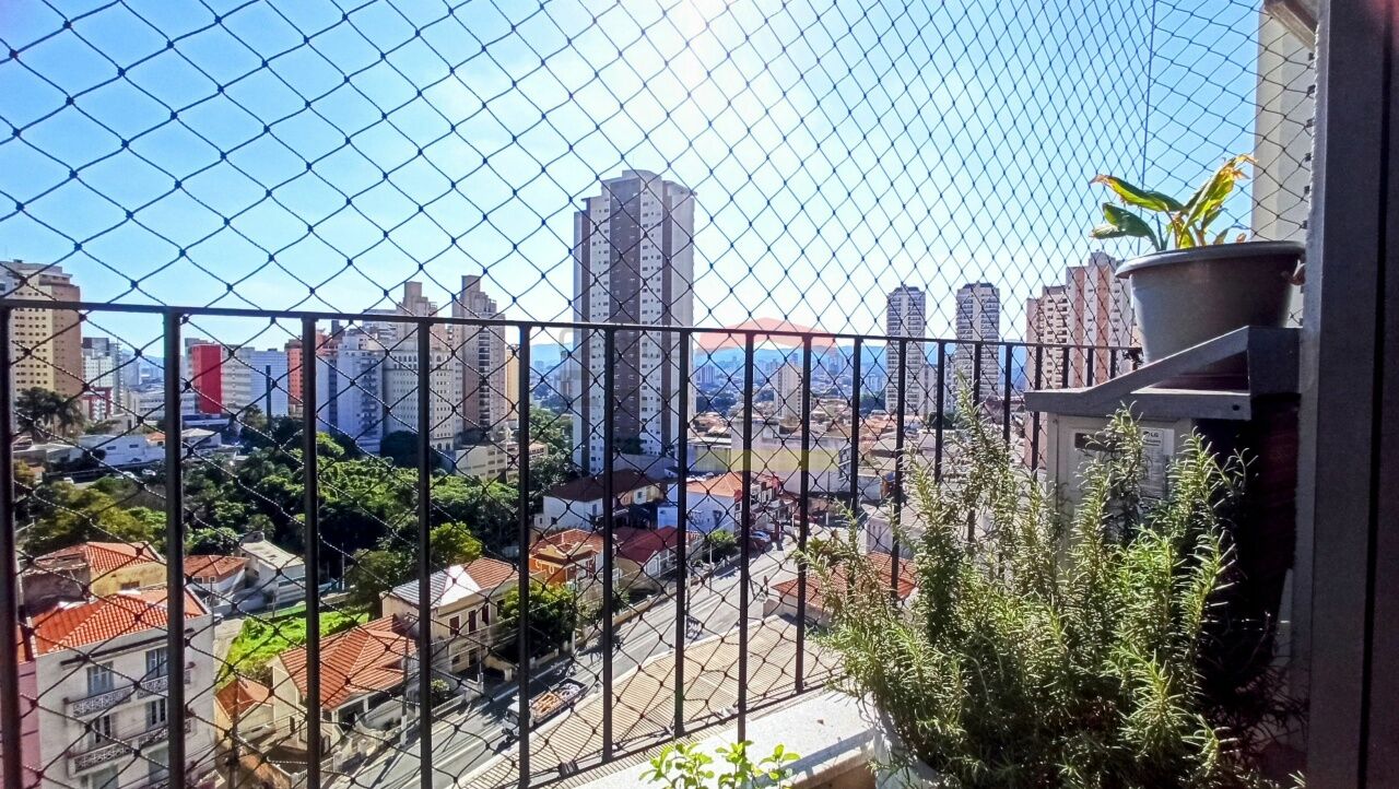Foto 42