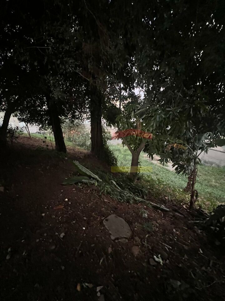 Foto 24