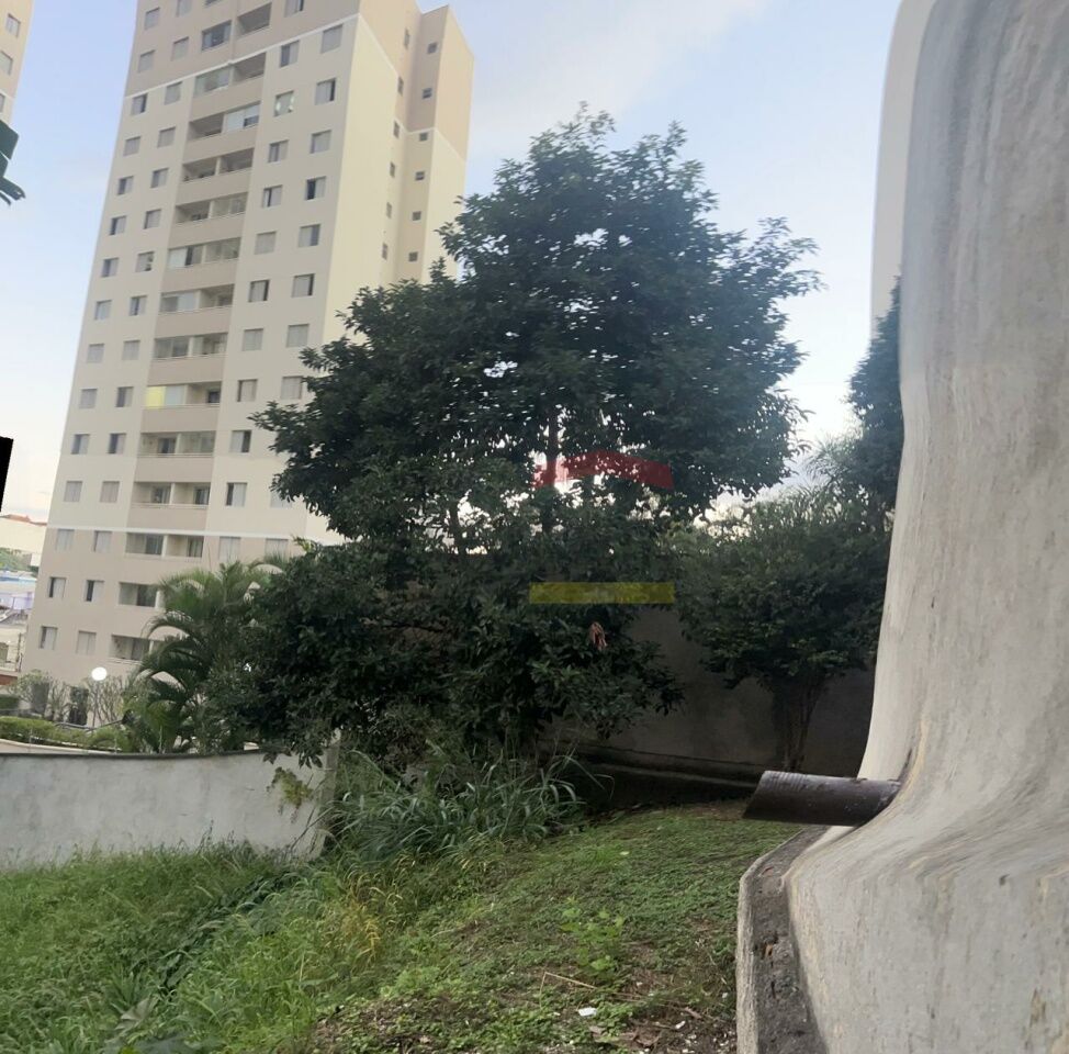 Foto 23