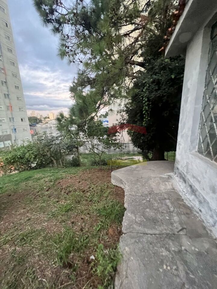 Foto 26