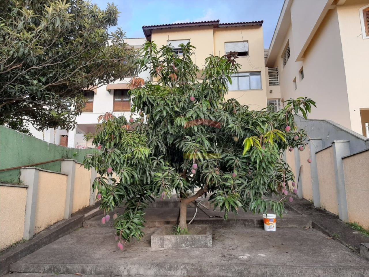 Foto 25