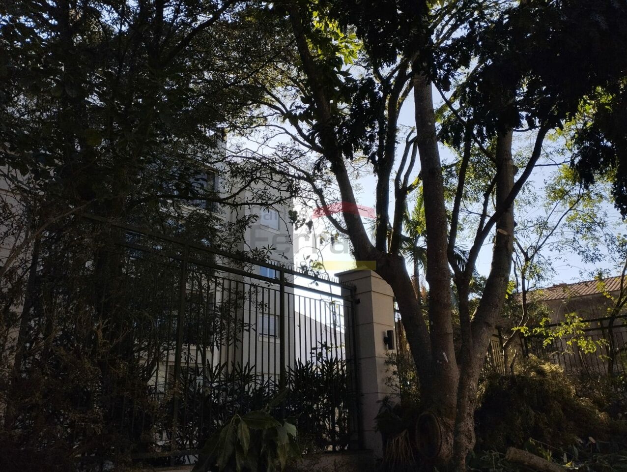 Foto 16