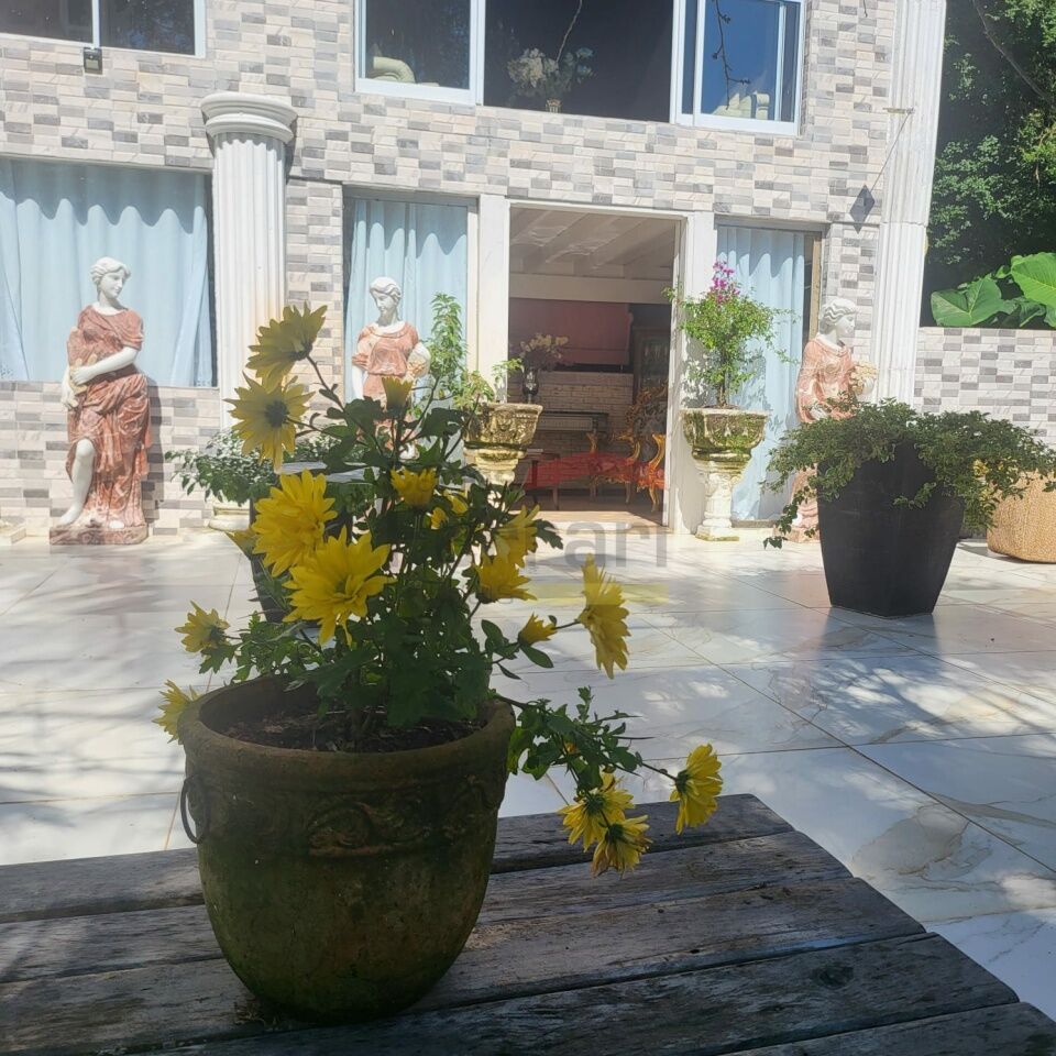 Foto 15