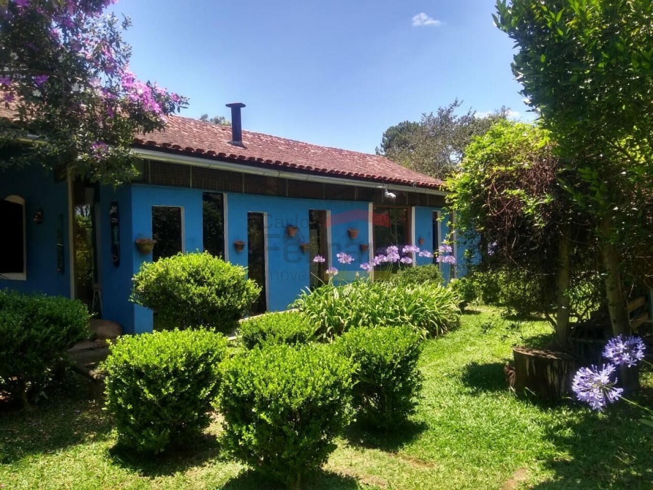 Foto 21