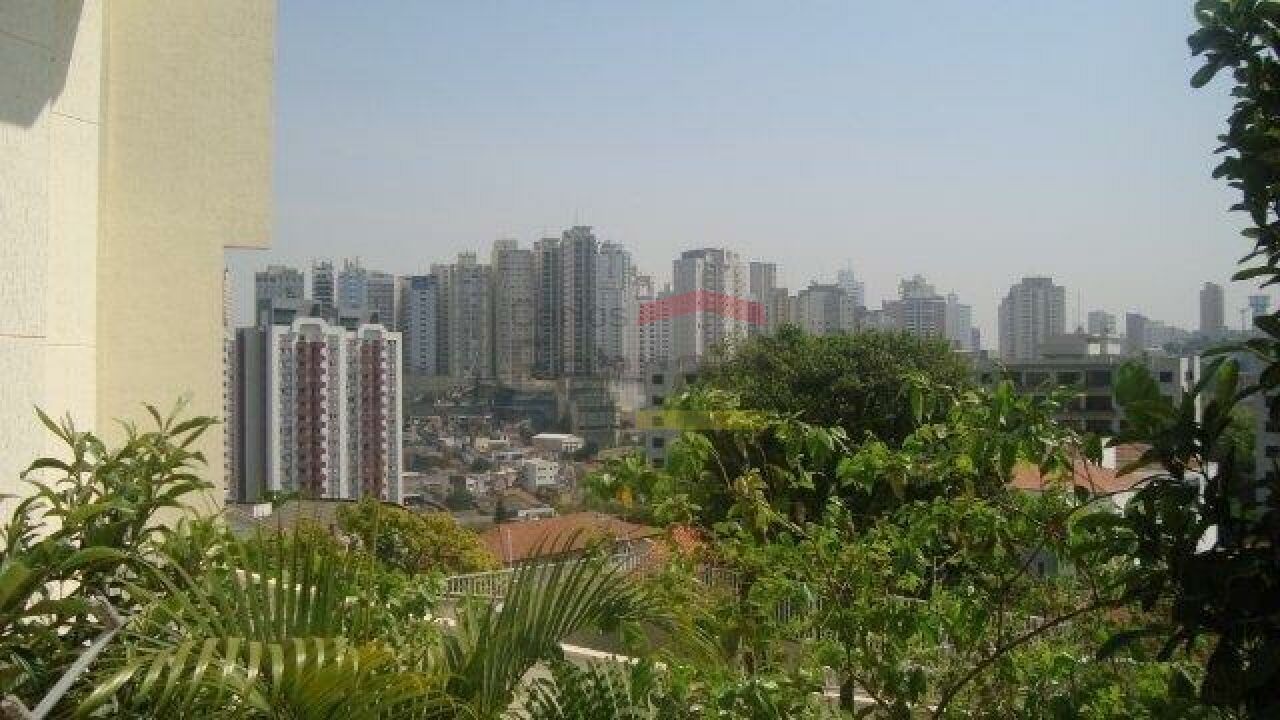 Foto 41