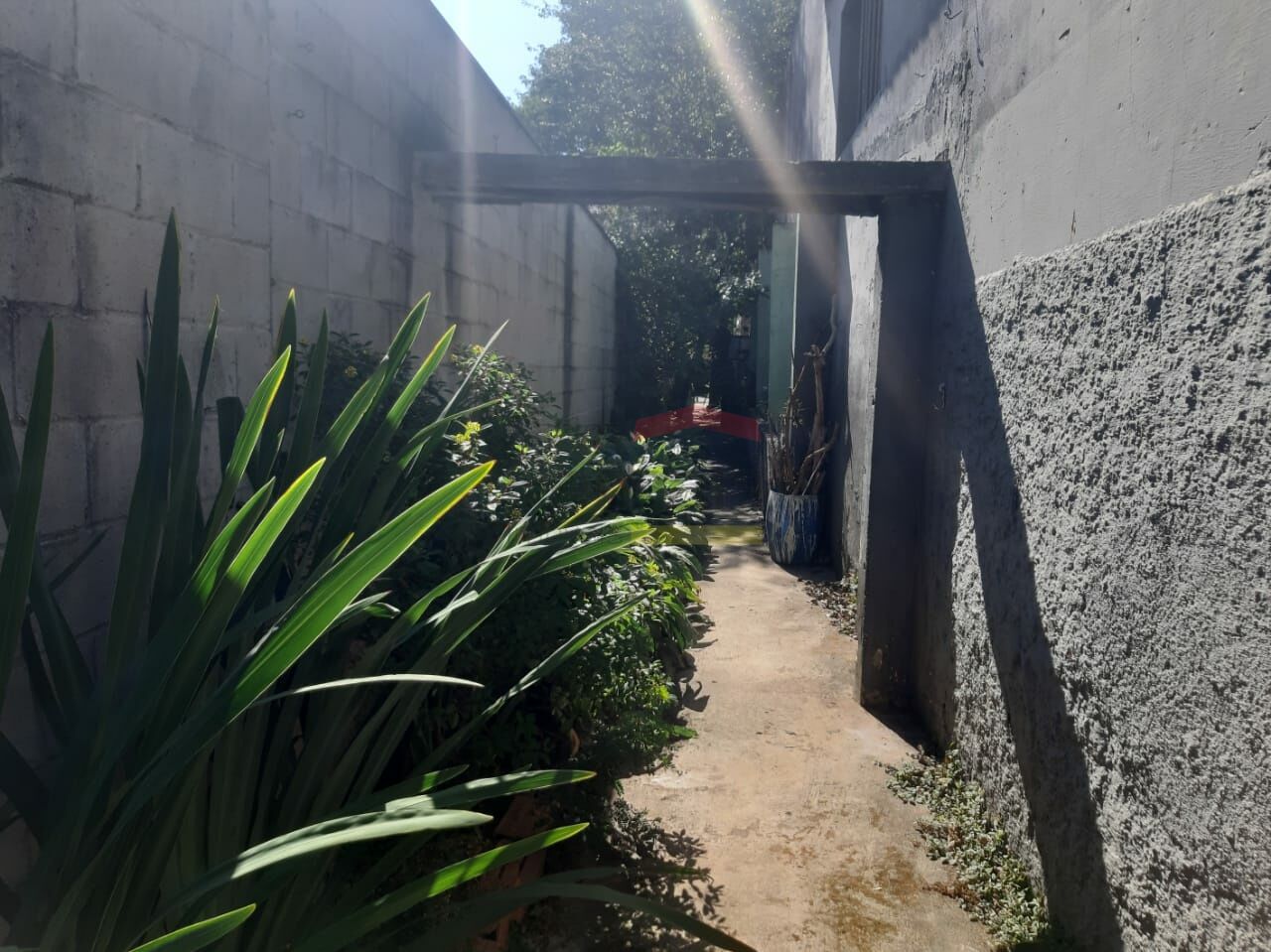 Foto 7