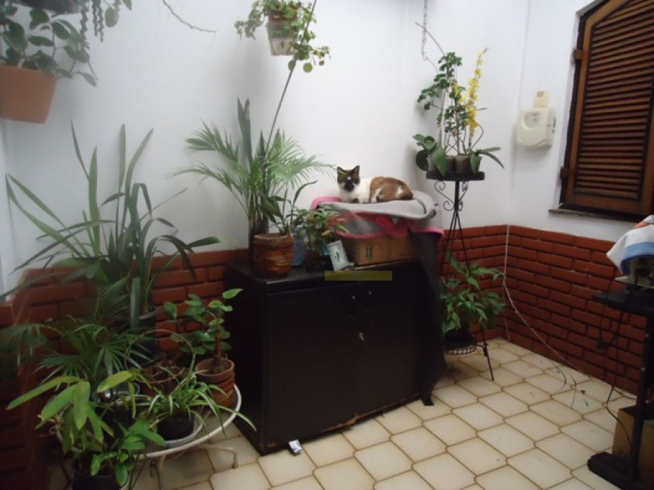 Foto 21