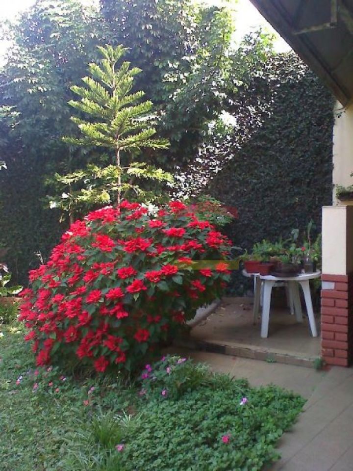 Foto 26