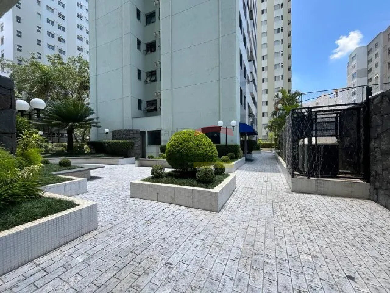 Foto 19