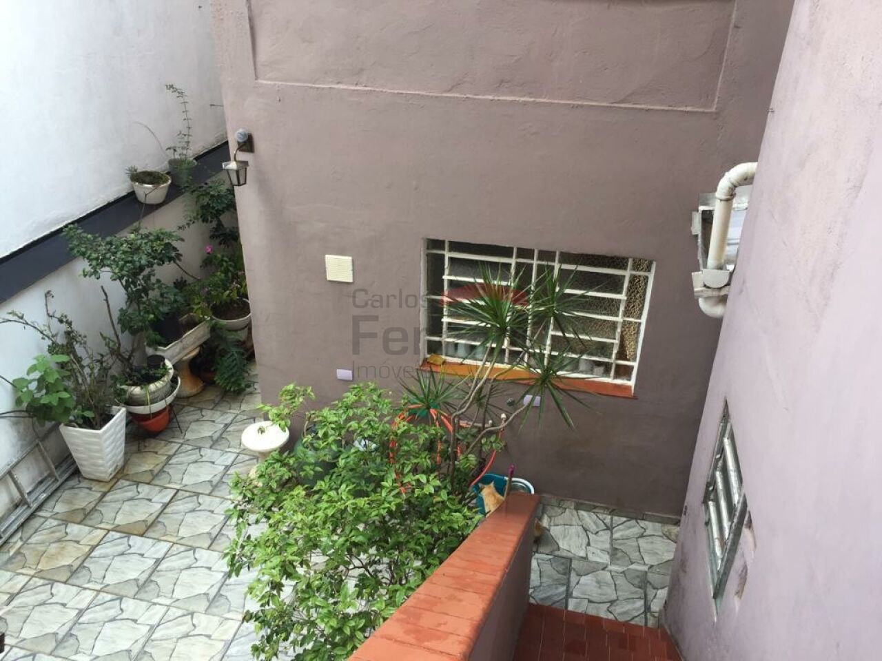 Foto 40