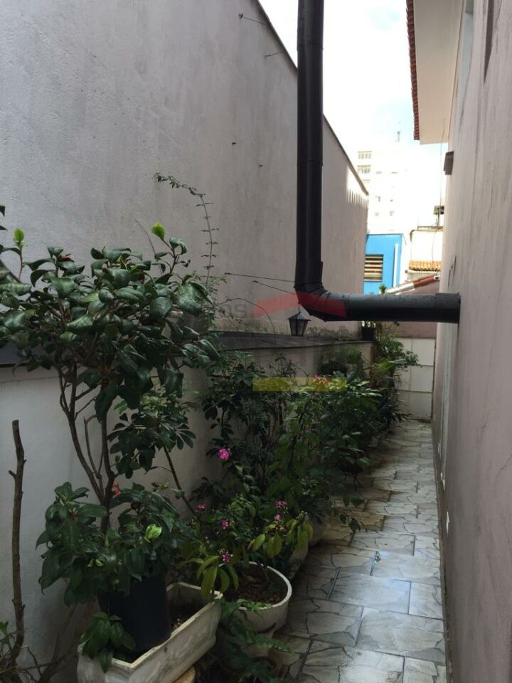 Foto 31