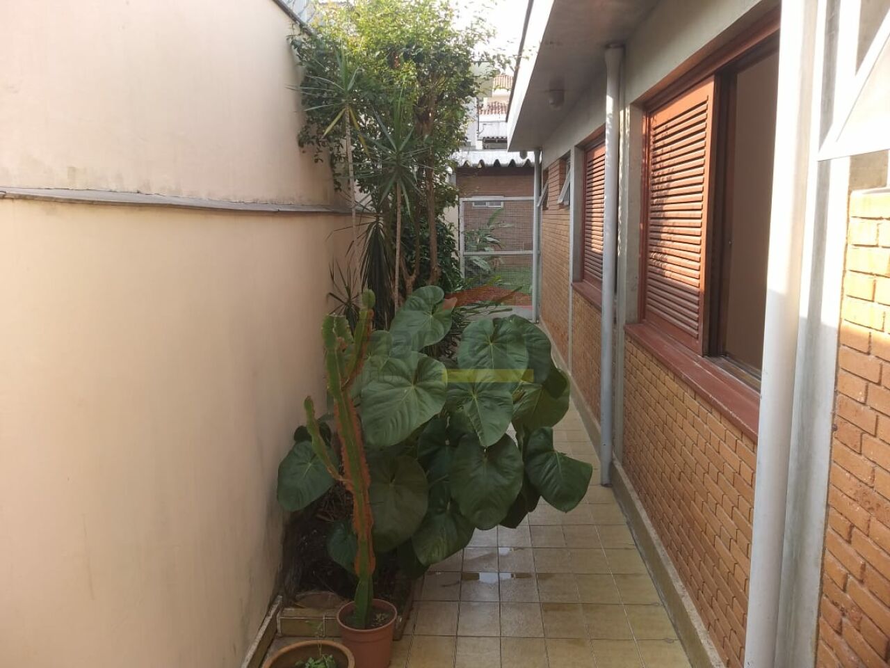 Foto 42