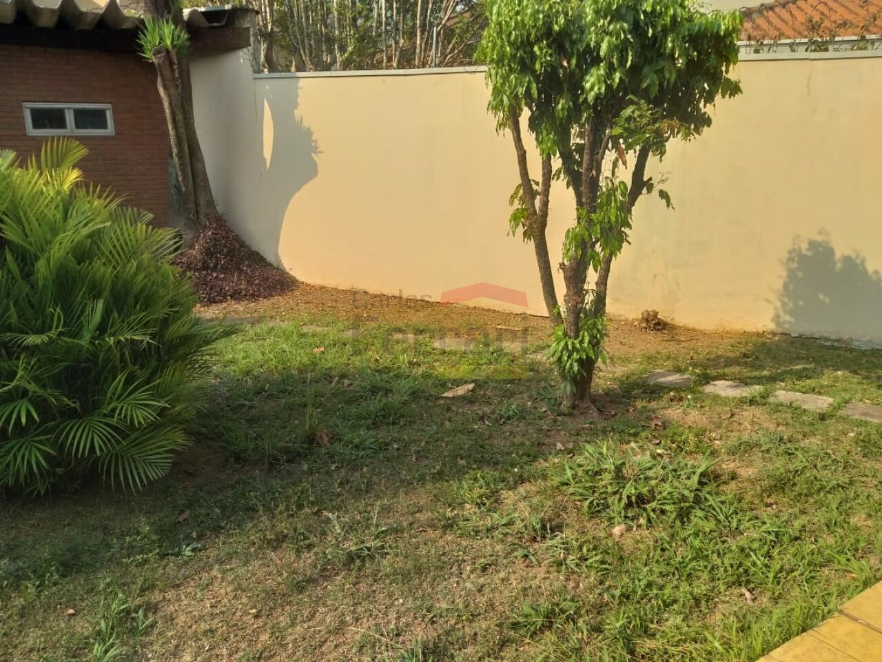 Foto 41