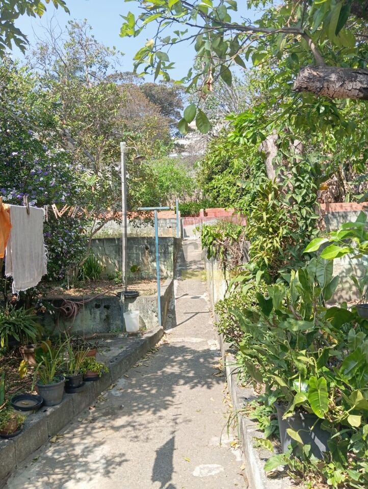 Foto 21