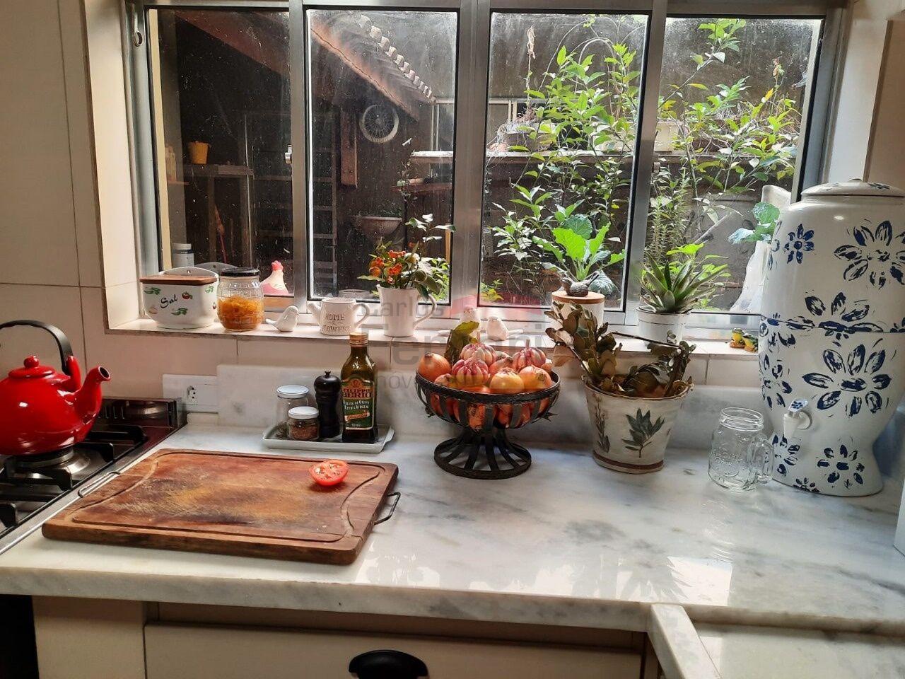 Foto 41
