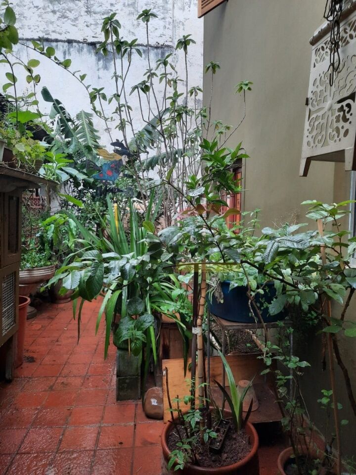 Foto 19
