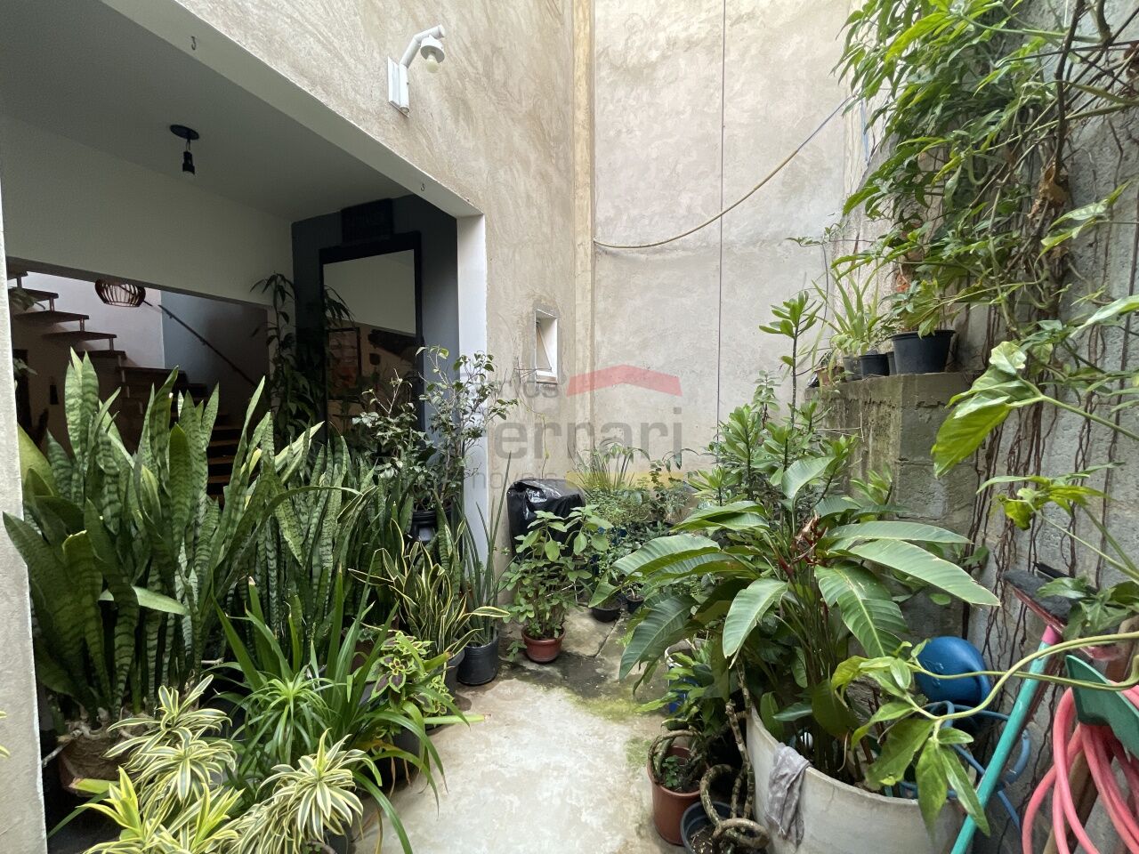 Foto 41