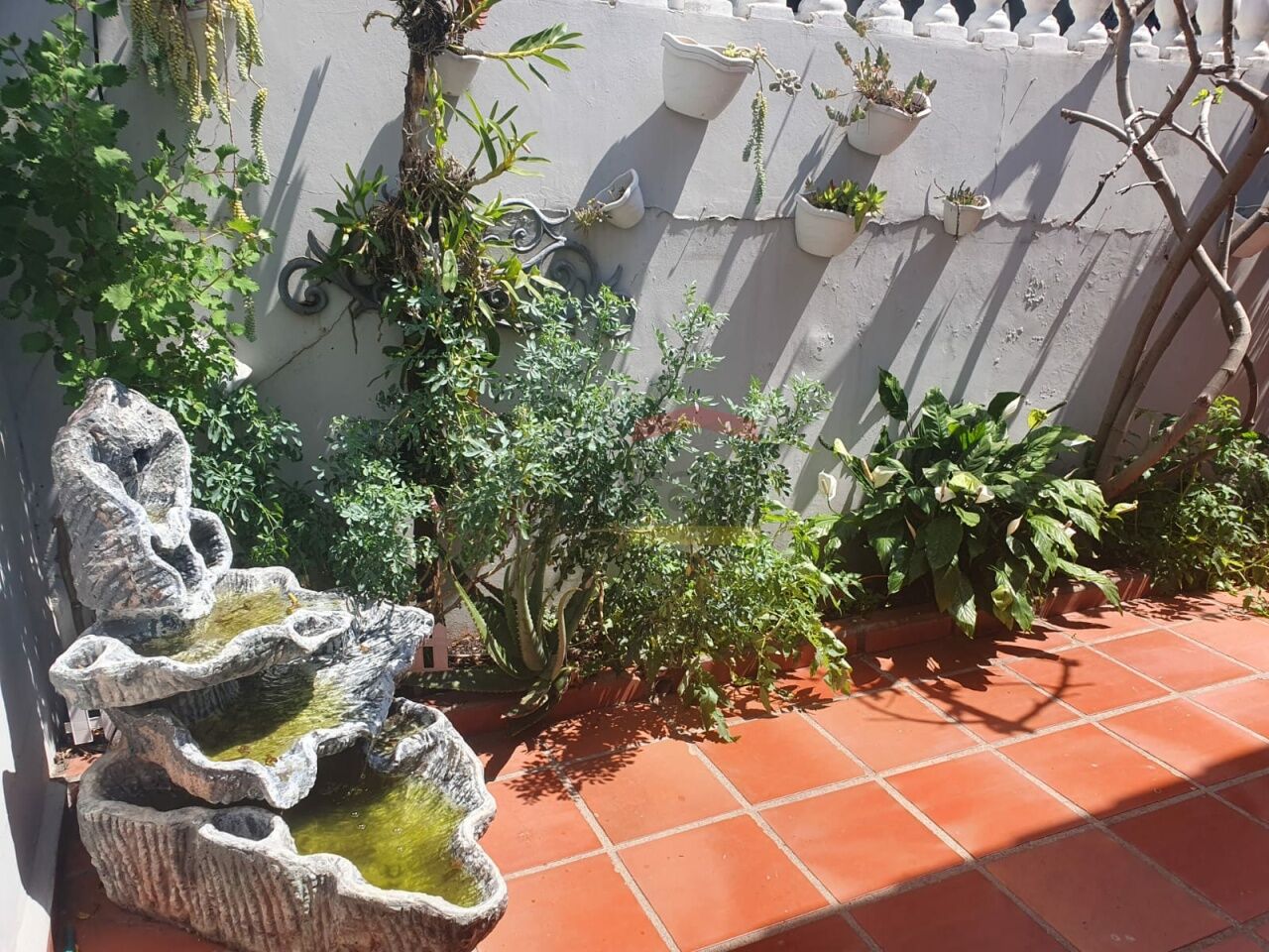 Foto 11