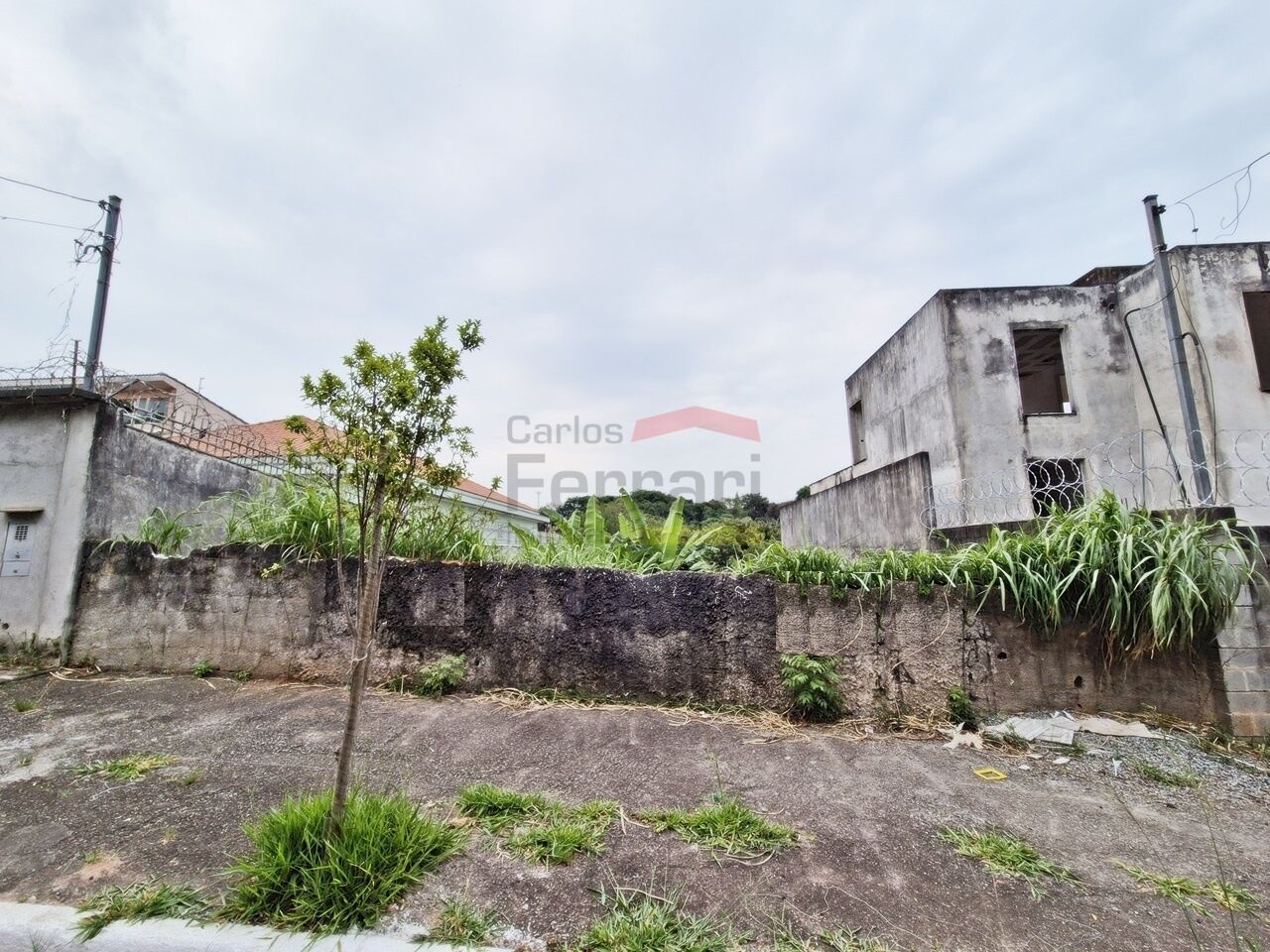 Foto 0