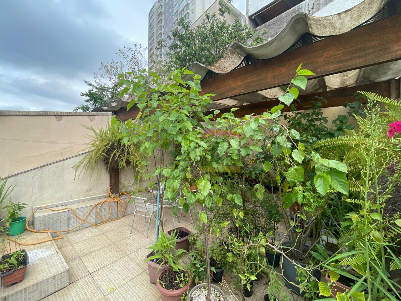 Foto 16