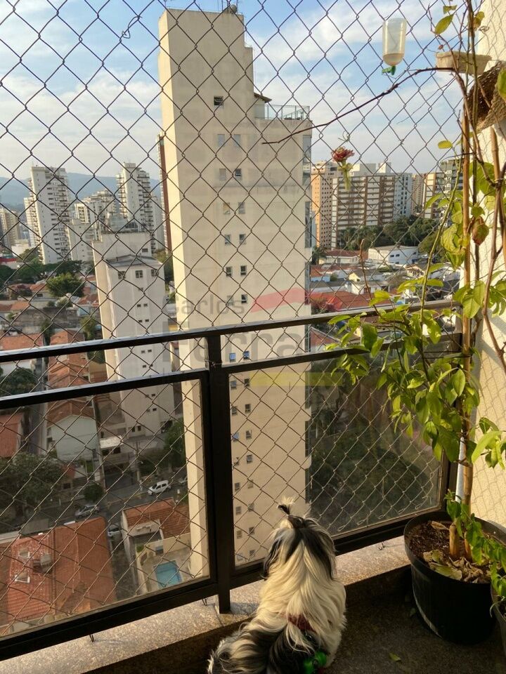 Foto 21
