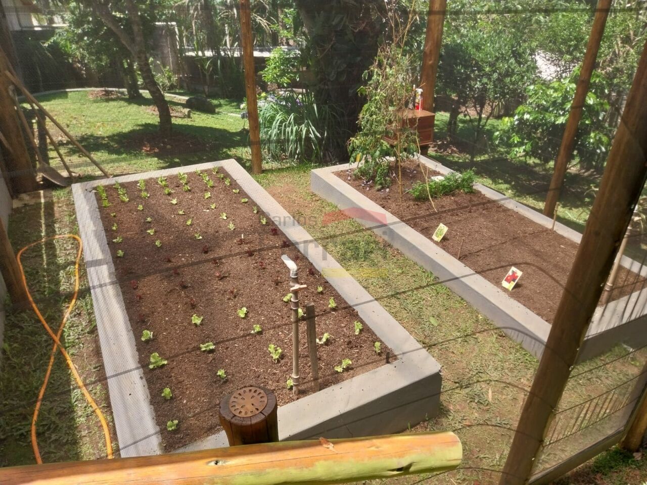 Foto 6