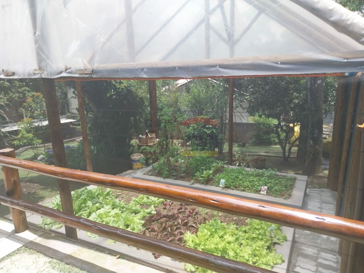 Foto 7