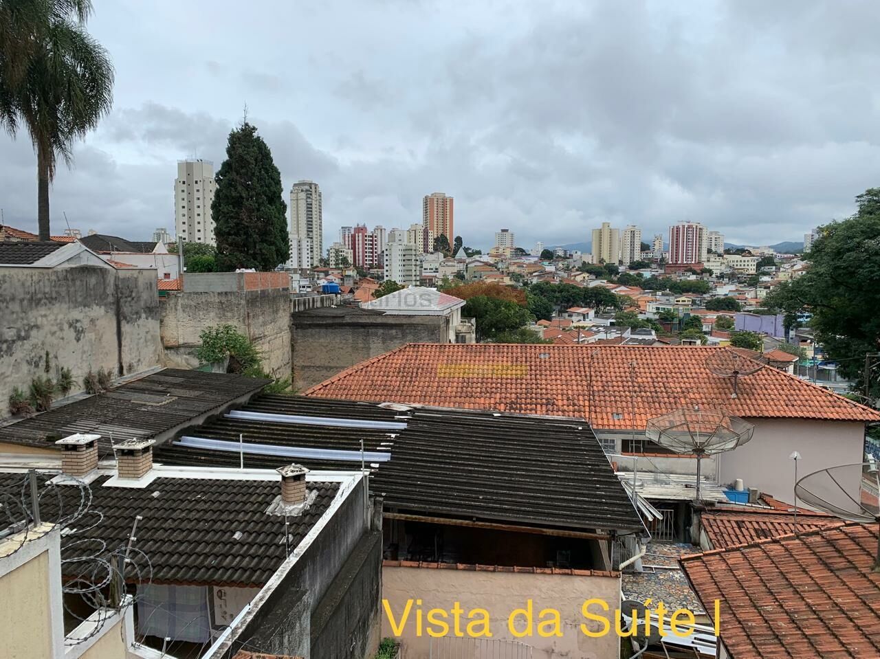 Foto 45
