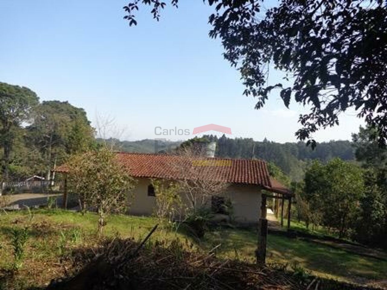 Foto 0
