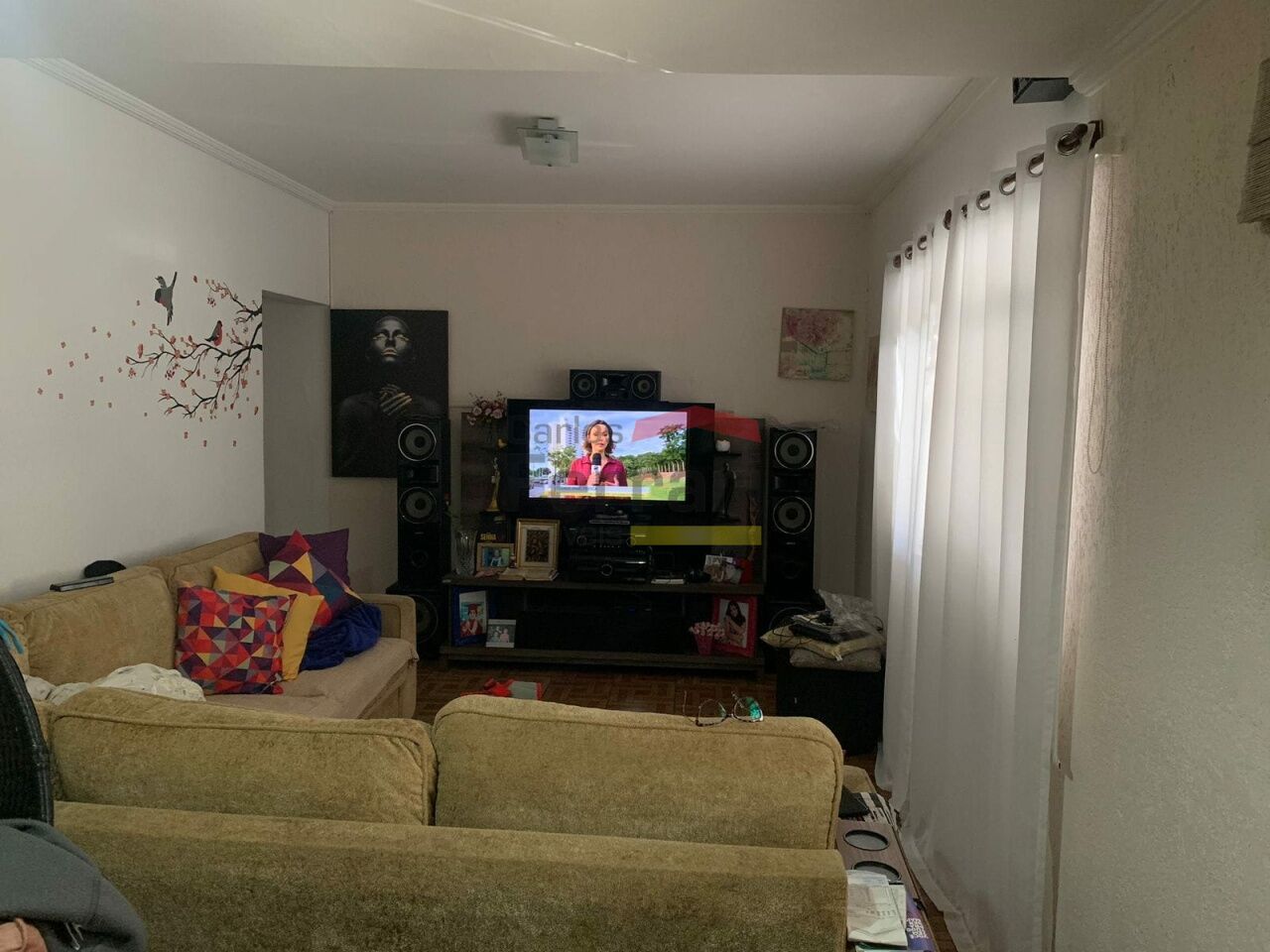 Foto 1