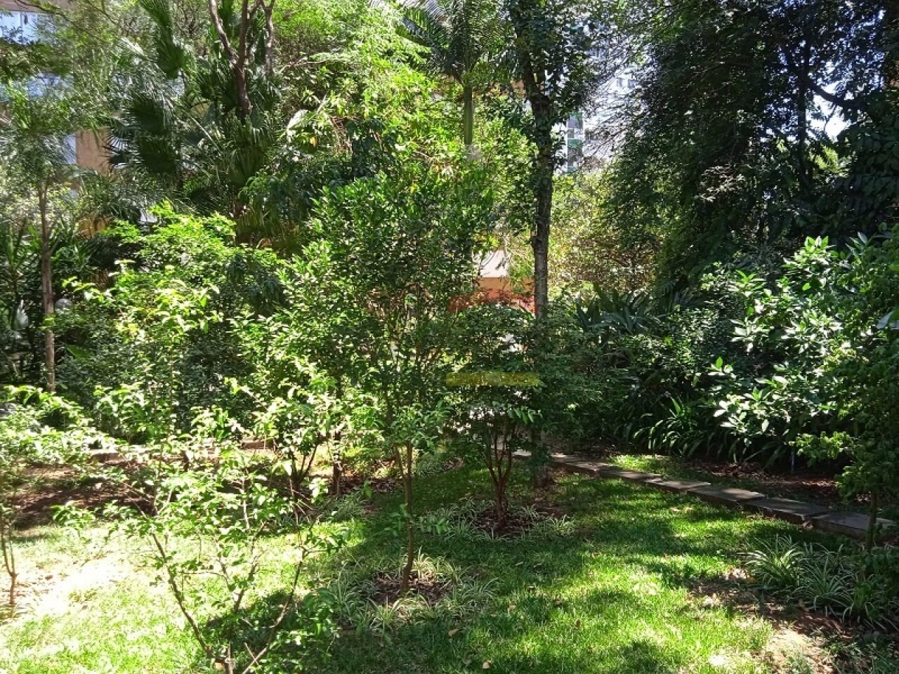 Foto 37