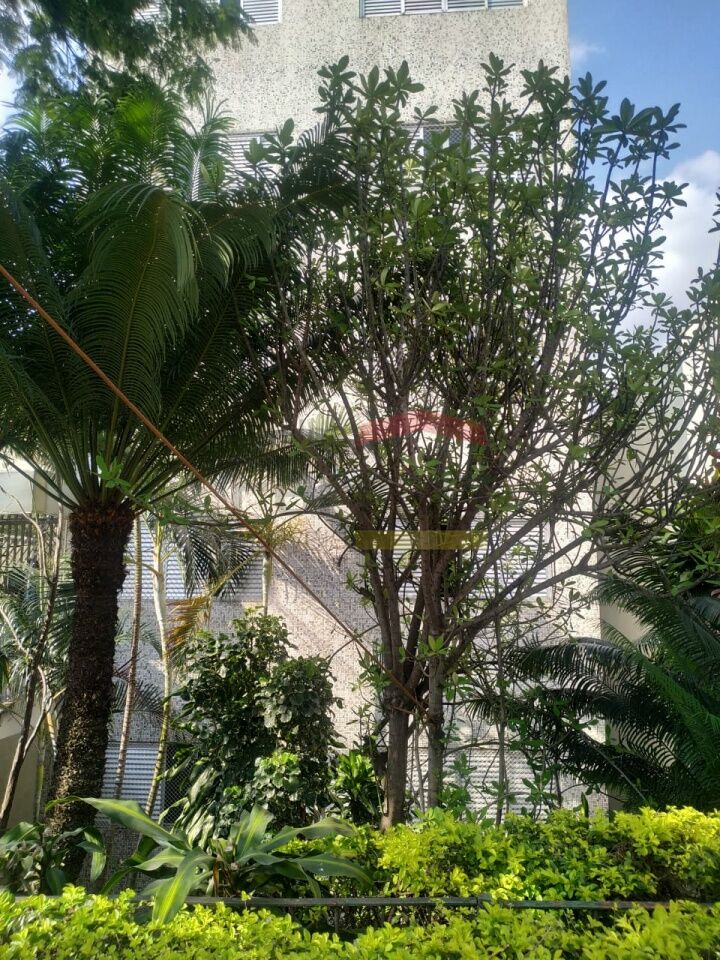 Foto 0