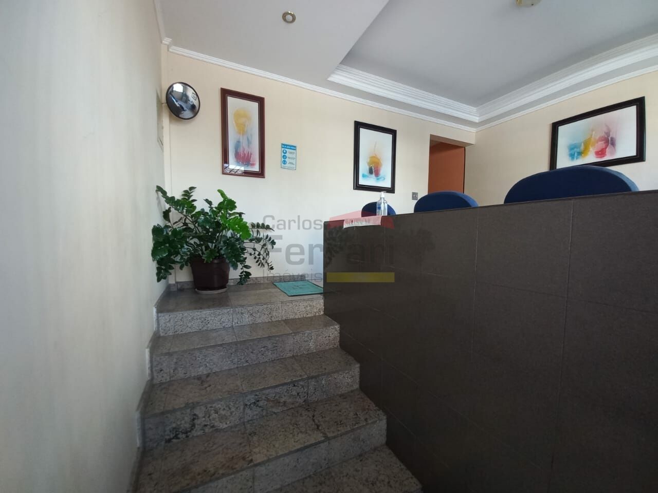 Foto 19