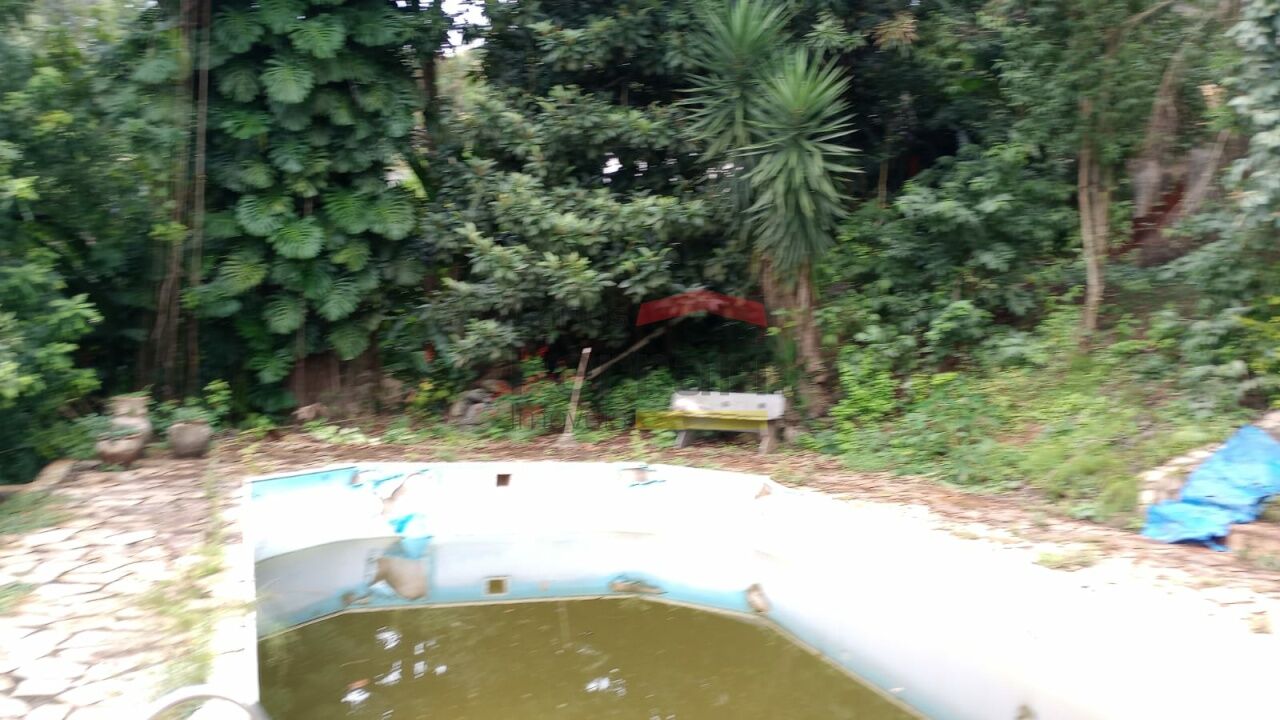 Foto 21