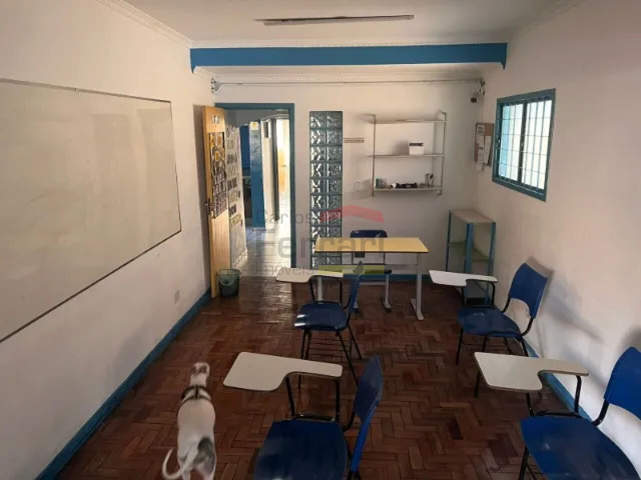 Foto 6