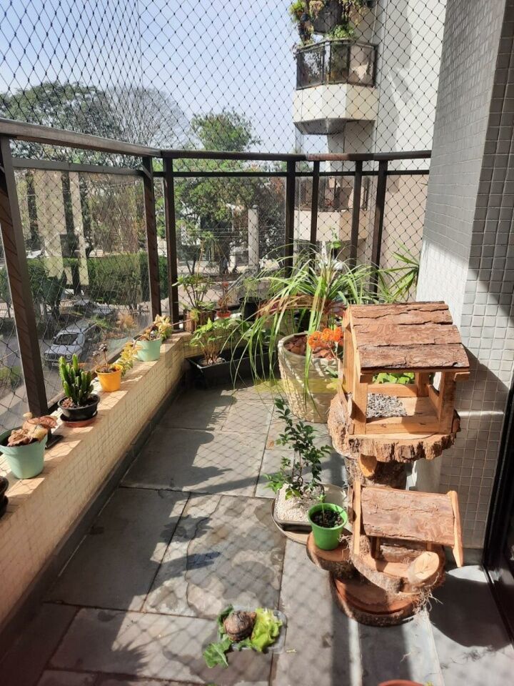 Foto 0