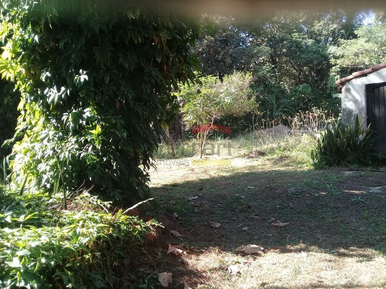 Foto 24